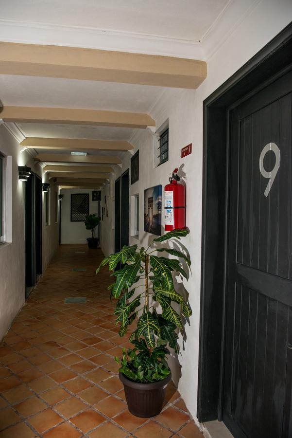 פלאייה דל כרמן Deja Hostel מראה חיצוני תמונה